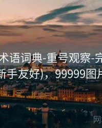 99图库-术语词典-重号观察-完成核验(新手友好)，99999图片