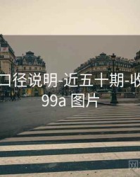 99图库-口径说明-近五十期-收藏入口，99a 图片