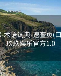 玖玖图库-术语词典-速查页(口径说明)，玖玖娱乐官方1.0